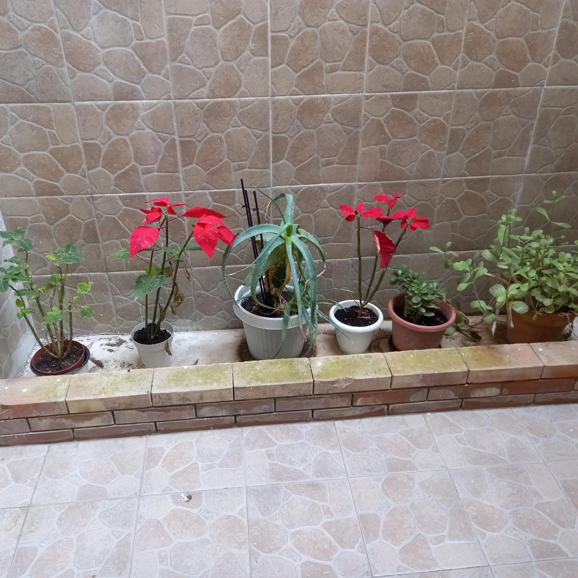 شقة A Casa Di Lori باليرمو المظهر الخارجي الصورة